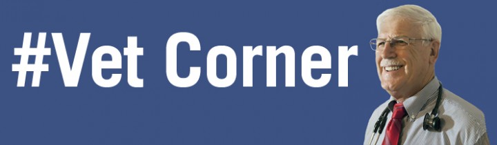 Vet Corner #5